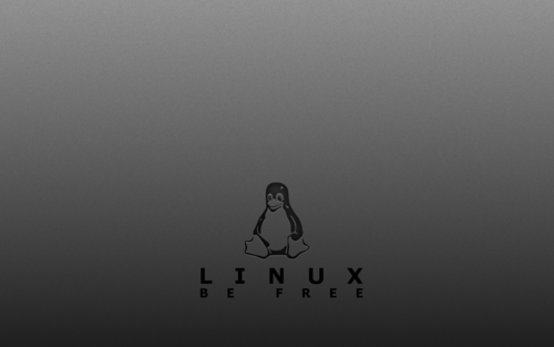 Linux服務(wù)器查看硬件配置的方法