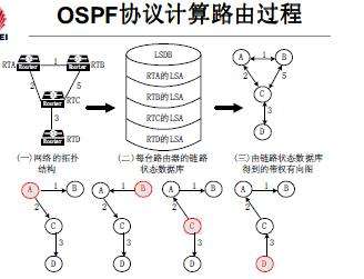 OSPF動態路由基礎知識